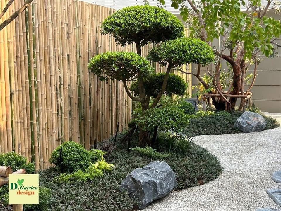 สวนสไตล์ญี่ปุ่นพร้อมไม้พุ่มตัดแต่งและทางเดินหิน ออกแบบโดย D.Garden Design