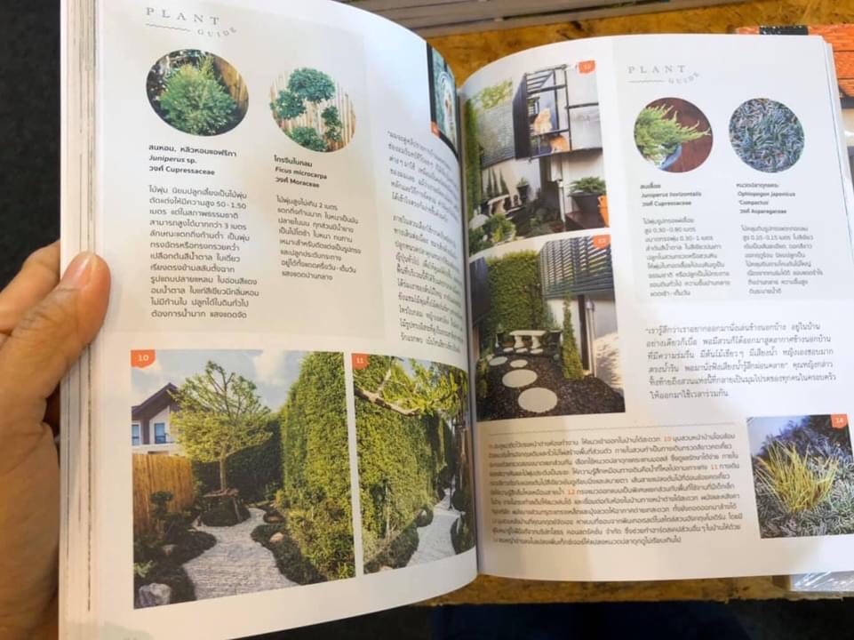 ผลงานออกแบบและจัดสวนโดย D.Garden Design แบบที่ 7