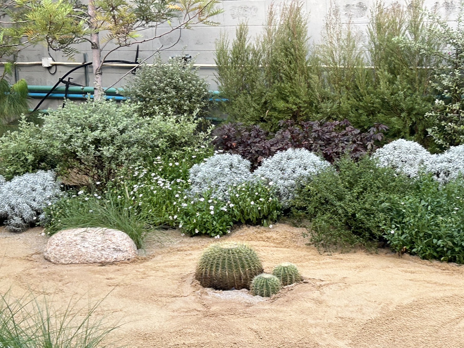 ผลงานออกแบบและจัดสวนโดย D.Garden Design แบบที่ 36