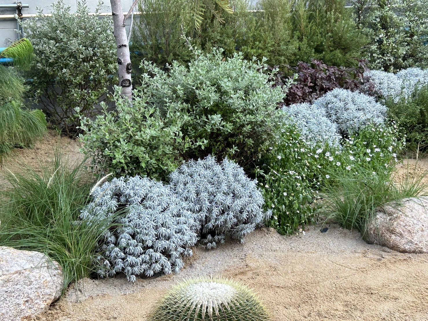 ผลงานออกแบบและจัดสวนโดย D.Garden Design แบบที่ 42