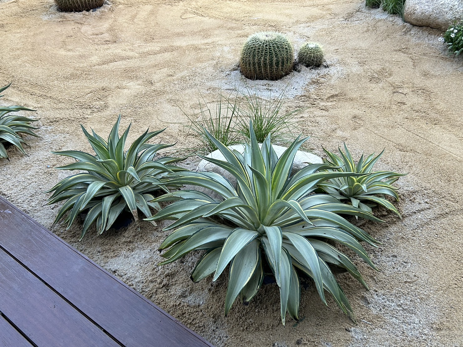 ผลงานออกแบบและจัดสวนโดย D.Garden Design แบบที่ 43
