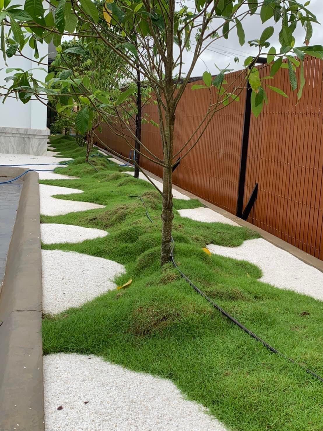 ผลงานออกแบบและจัดสวนโดย D.Garden Design แบบที่ 82