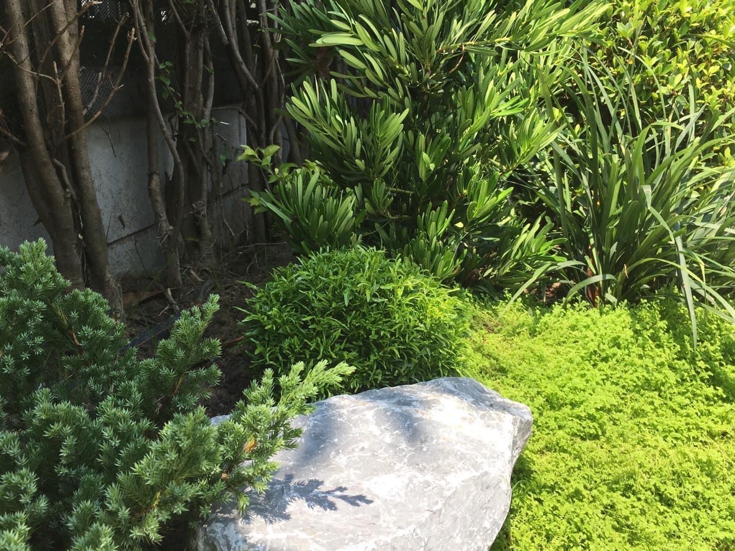 ผลงานออกแบบและจัดสวนโดย D.Garden Design แบบที่ 85