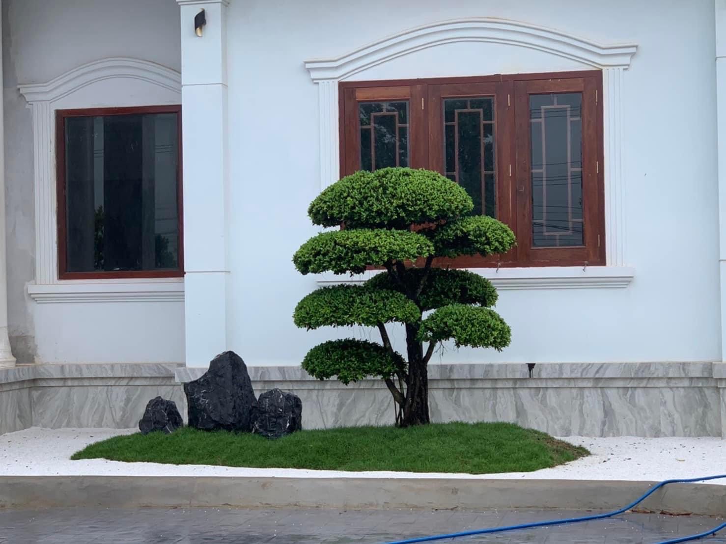 ผลงานออกแบบและจัดสวนโดย D.Garden Design แบบที่ 86