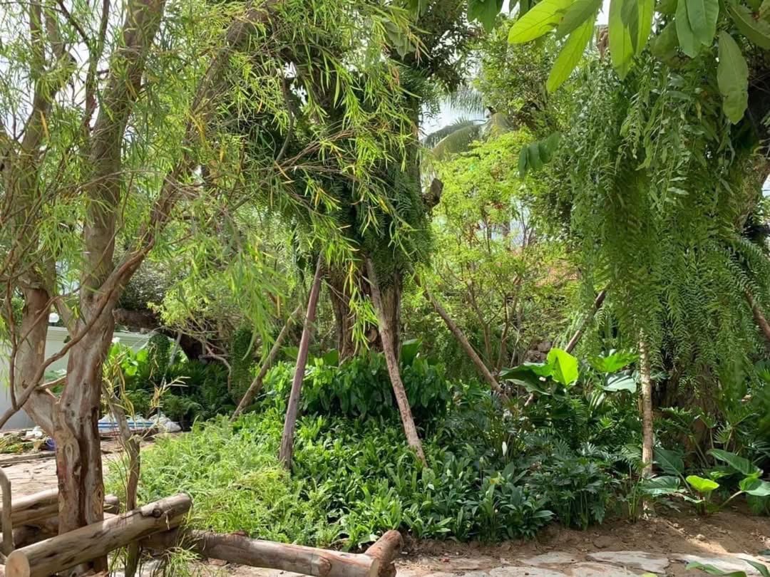 ผลงานออกแบบและจัดสวนโดย D.Garden Design แบบที่ 104